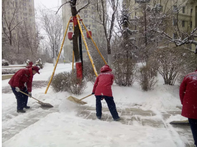 金泰物业各项目大雪天坚持工作(图3)
