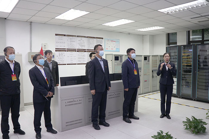 市基层党建拉练观摩团领导到壹品人家项目参观指导(图2)