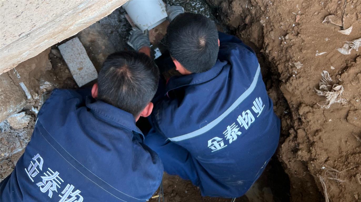  同心同德·同德同行(图7)