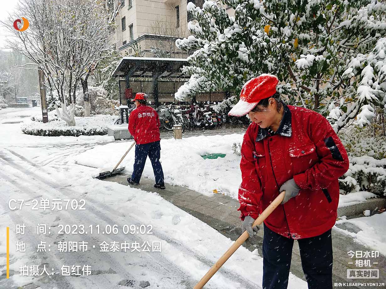 雪未停，身先行，金泰物业“浴雪”奋战(图8)