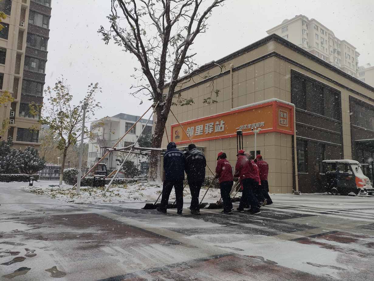雪未停，身先行，金泰物业“浴雪”奋战(图11)