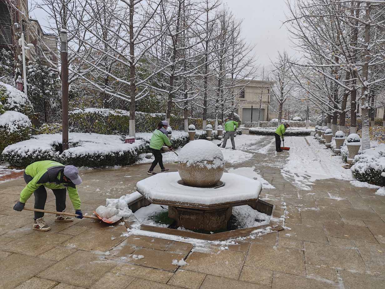 雪未停，身先行，金泰物业“浴雪”奋战(图12)