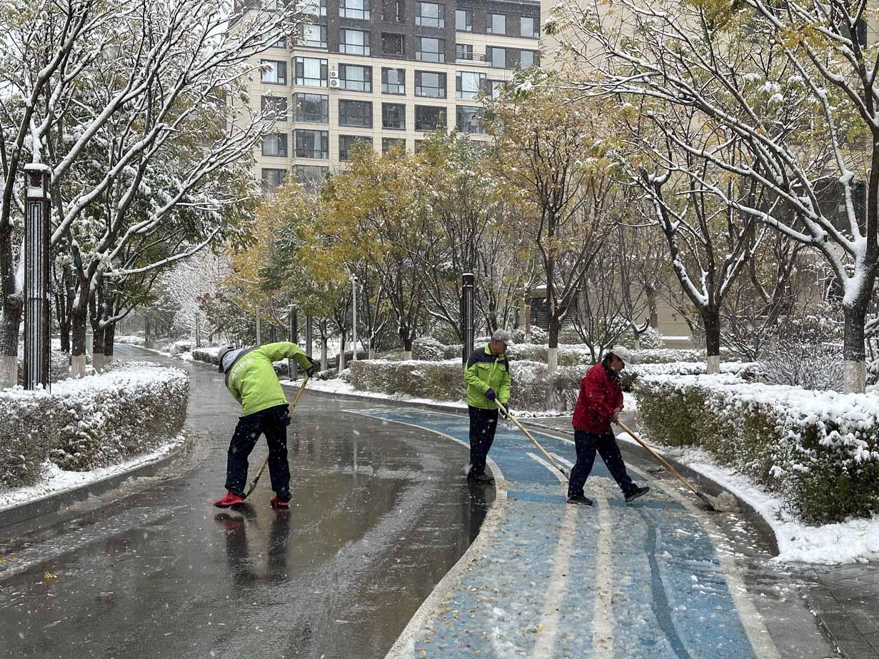 雪未停，身先行，金泰物业“浴雪”奋战(图13)