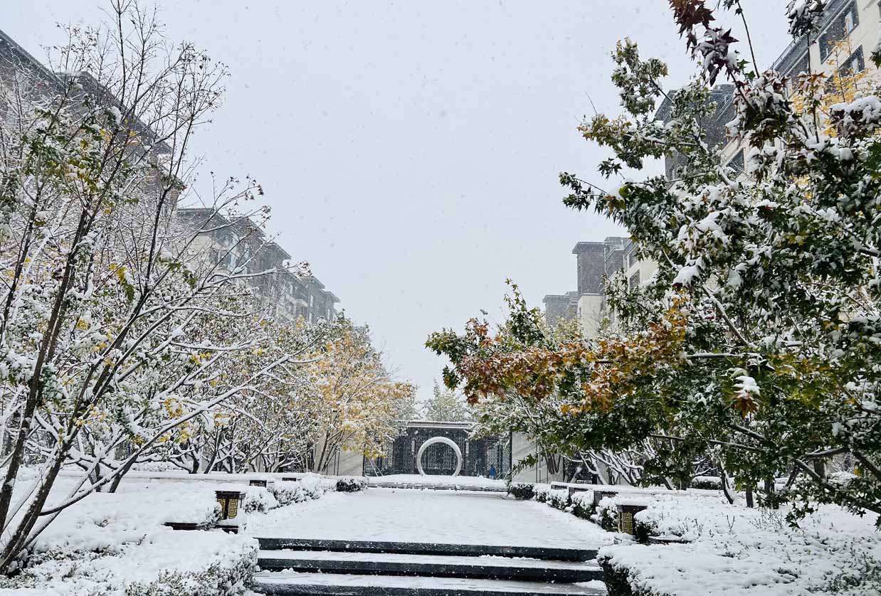 这里有雪落下的声音！(图1)