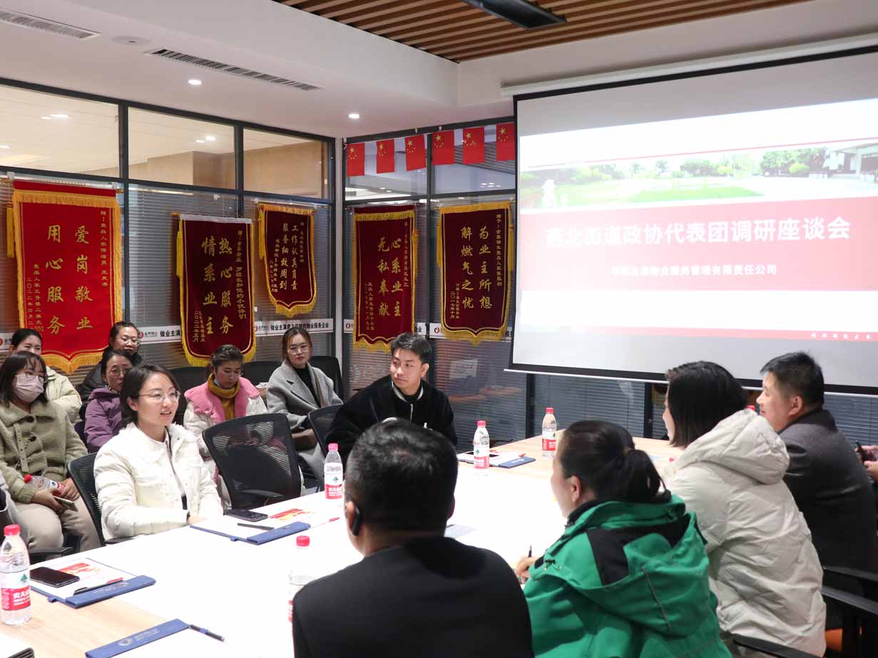 党建引领聚合力——燕北街道政协代表团莅临壹品人家项目调研工作(图6)